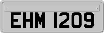 EHM1209