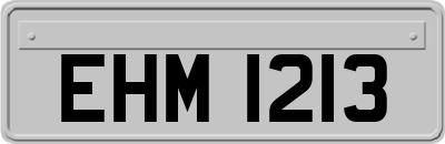 EHM1213