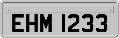 EHM1233