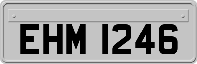 EHM1246