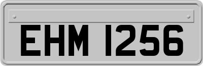 EHM1256