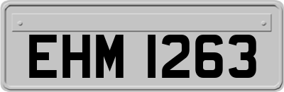 EHM1263