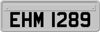 EHM1289