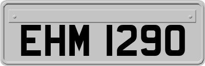EHM1290