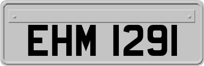 EHM1291