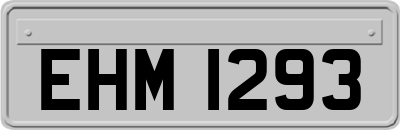 EHM1293