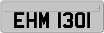 EHM1301