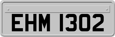 EHM1302
