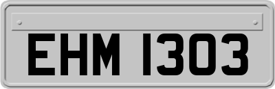 EHM1303