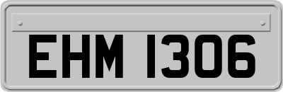 EHM1306