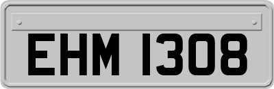 EHM1308