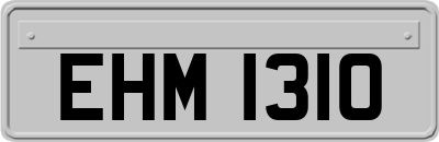 EHM1310