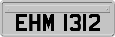 EHM1312