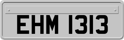 EHM1313