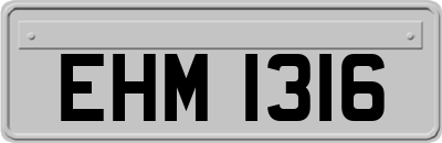 EHM1316