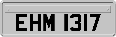 EHM1317
