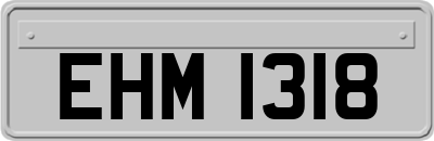 EHM1318