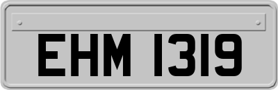 EHM1319