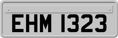 EHM1323