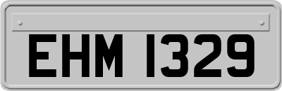 EHM1329