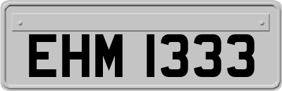 EHM1333