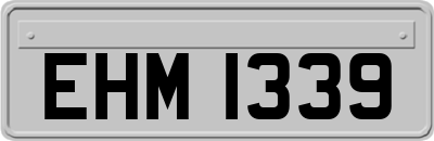 EHM1339