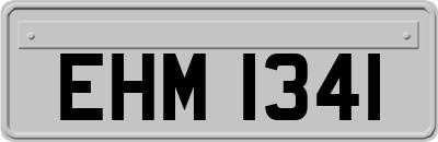 EHM1341