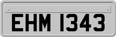 EHM1343