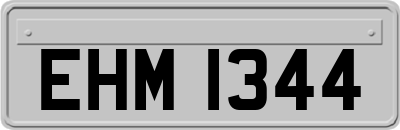 EHM1344