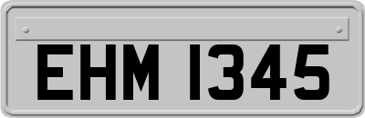 EHM1345