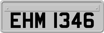 EHM1346