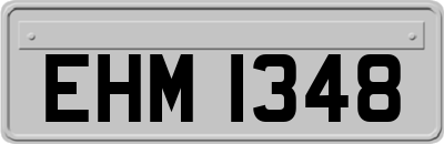 EHM1348