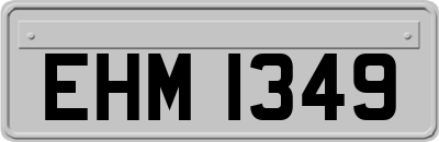 EHM1349