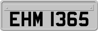 EHM1365