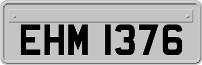 EHM1376