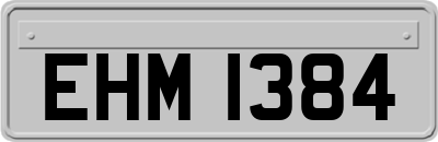 EHM1384