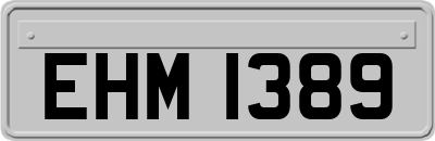 EHM1389