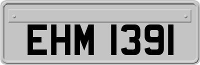 EHM1391