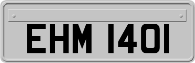 EHM1401