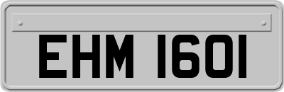 EHM1601