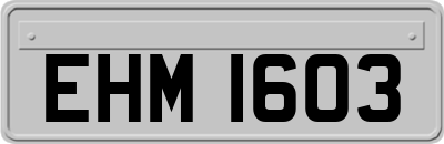 EHM1603