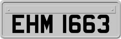 EHM1663