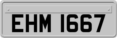 EHM1667