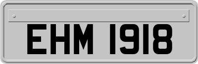 EHM1918