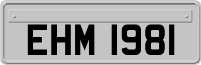 EHM1981