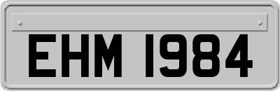 EHM1984