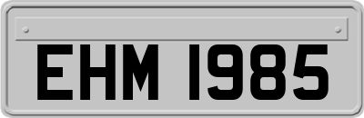 EHM1985