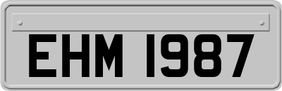 EHM1987