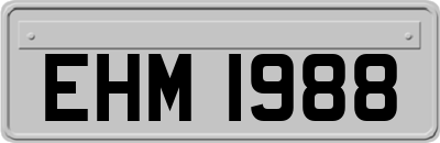 EHM1988