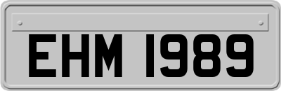 EHM1989